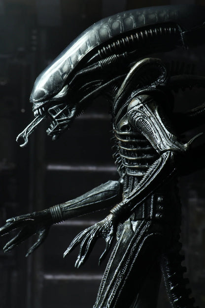 NECA Figura de Accion Ultimate: Alien 40 Aniversario - Big Chap 7 Pulgadas Preventa