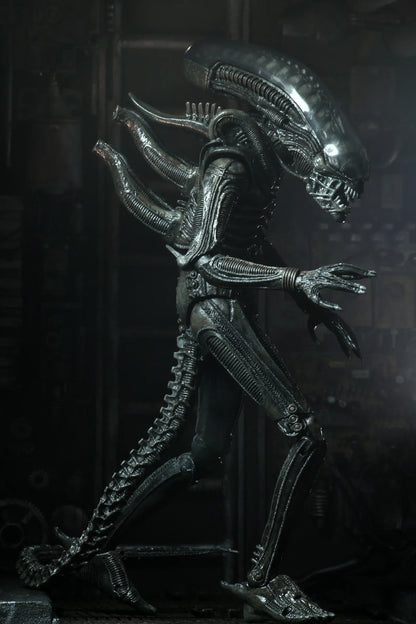 NECA Figura de Accion Ultimate: Alien 40 Aniversario - Big Chap 7 Pulgadas Preventa