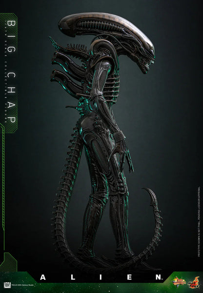 Hot Toys Movie Masterpiece Series: Alien - Big Chap Escala 1/6 Preventa