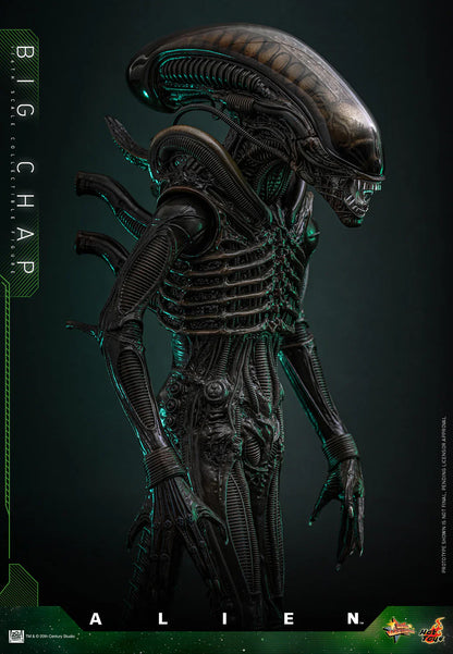 Hot Toys Movie Masterpiece Series: Alien - Big Chap Escala 1/6 Preventa