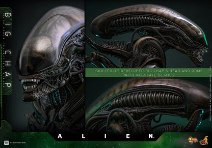 Hot Toys Movie Masterpiece Series: Alien - Big Chap Escala 1/6 Preventa