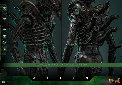 Hot Toys Movie Masterpiece Series: Alien - Big Chap Escala 1/6 Preventa