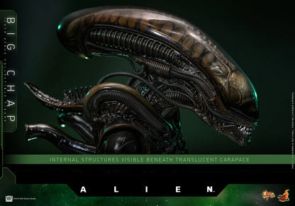 Hot Toys Movie Masterpiece Series: Alien - Big Chap Escala 1/6 Preventa