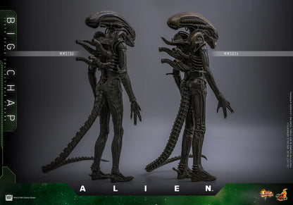 Hot Toys Movie Masterpiece Series: Alien - Big Chap Escala 1/6 Preventa