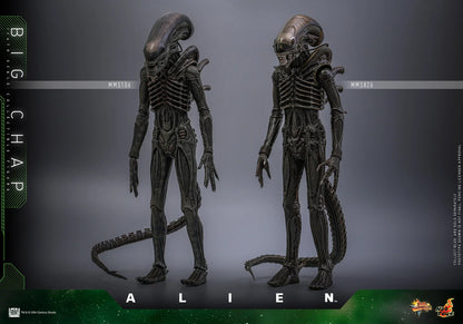 Hot Toys Movie Masterpiece Series: Alien - Big Chap Escala 1/6 Preventa
