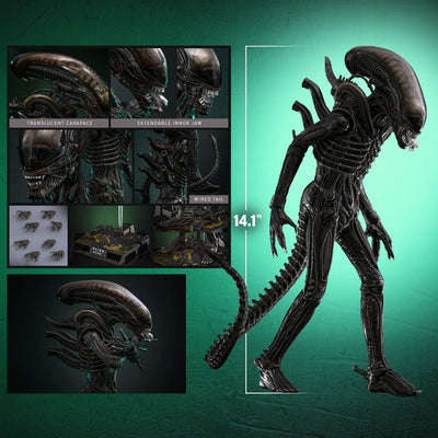 Hot Toys Movie Masterpiece Series: Alien - Big Chap Escala 1/6 Preventa