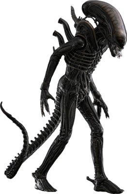 Hot Toys Movie Masterpiece Series: Alien - Big Chap Escala 1/6 Preventa